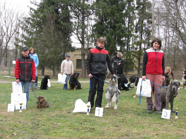 Vítězové kategorie agility