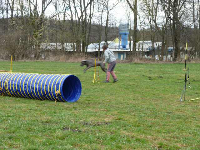 Naše část trati pro agility