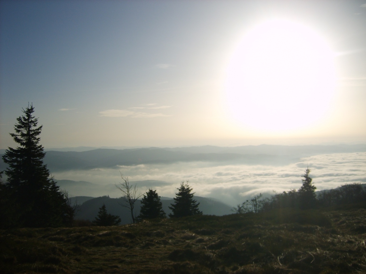S5002554.JPG